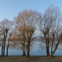 2012 03 09_Bodensee