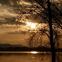 2012 03 12_Bodensee März 2012_1339