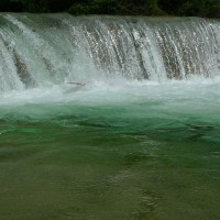 03 Ardeche Mai 2010