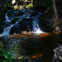 16 Harz 2010005