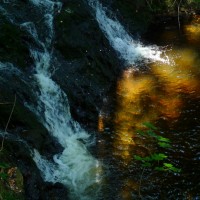 19 Harz 2010009