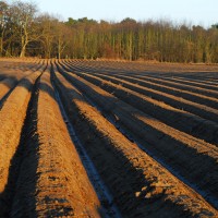 Balken in der Abendsonne