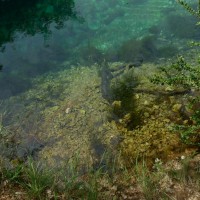 30 Ardeche Mai 2010071